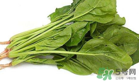 黃辣丁能和菠菜同食不？菠菜可以和黃辣丁一起吃嗎
