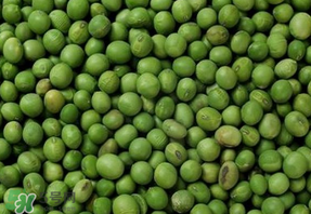 青豆可以打豆?jié){嗎？青豆能做豆?jié){嗎？