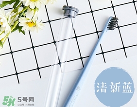 amortals爾木萄牙刷怎么樣？amortals爾木萄牙刷多少錢？