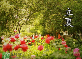 ?立夏是夏天嗎？?立夏是夏天的開(kāi)始嗎？