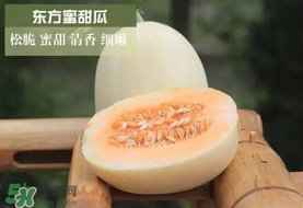 甜瓜可以帶上飛機嗎？坐飛機可以帶香瓜嗎？