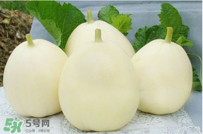 甜瓜可以帶上飛機嗎？坐飛機可以帶香瓜嗎？
