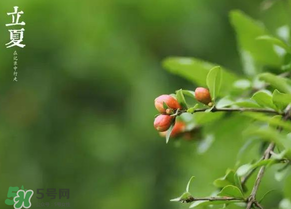 立夏要注意什么？立夏養(yǎng)生禁忌