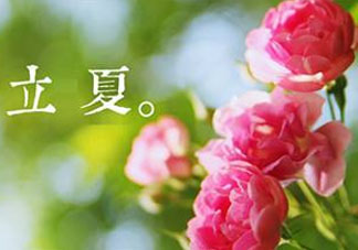 立夏開什么花？立夏有什么花？