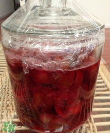 三華李能泡酒嗎？三華李怎么泡