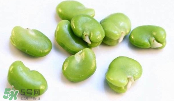 青蠶豆怎么保存？剝好的蠶豆怎么保存