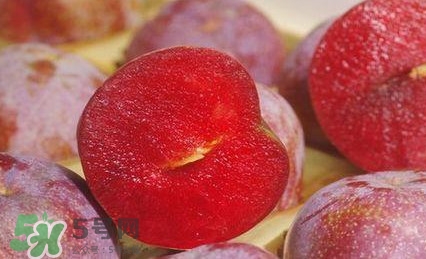 吃三華李有什么好處？三華李的功效與作用