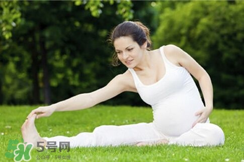 孕婦能做平板支撐嗎？孕婦能做哪些運動？