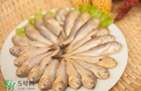 黃唇魚是黃花魚嗎？黃唇魚是黃魚嗎？
