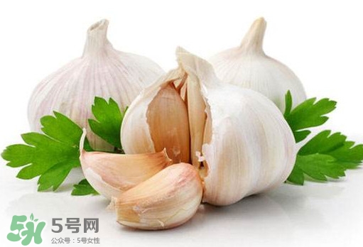 蒜頭能放冰箱嗎？蒜頭能放多久？