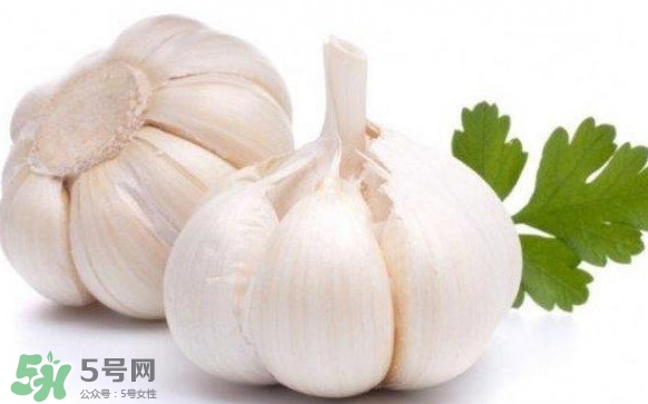 蒜頭發(fā)芽能吃嗎？蒜頭發(fā)芽可以吃嗎？