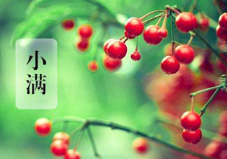 小滿是什么節(jié)氣？小滿是第幾個(gè)節(jié)氣？