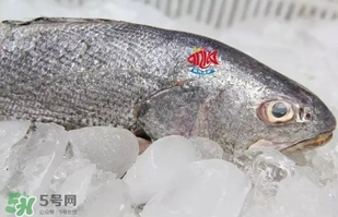 黃唇魚是黃花魚嗎？黃唇魚是黃魚嗎？