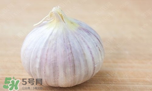 新鮮蒜頭怎么保存？蒜頭怎么保存不發(fā)芽