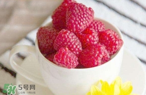覆盆子是什么？覆盆子是樹莓嗎