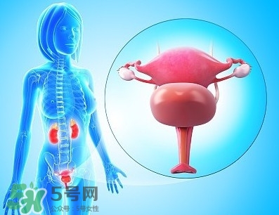 人造子宮能生孩子嗎？人造子宮初現(xiàn)曙光