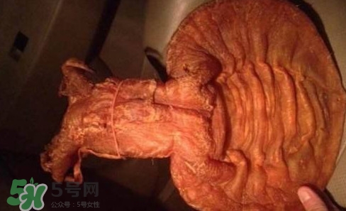 黃唇魚魚鰾是什么？魚鰾是魚的哪個(gè)部位