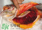 孕婦能吃金錢(qián)鱉嗎？懷孕期間能不能吃金錢(qián)鱉？