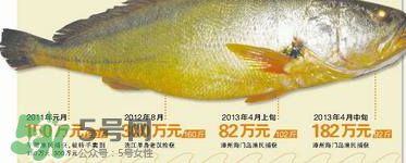 孕婦能吃金錢(qián)鱉嗎？懷孕期間能不能吃金錢(qián)鱉？