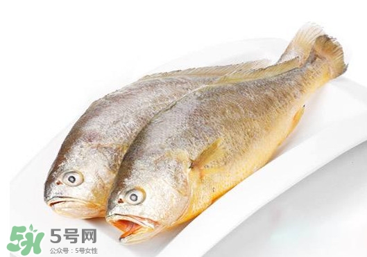 黃唇魚是不是黃花魚？黃唇魚和黃花魚的區(qū)別