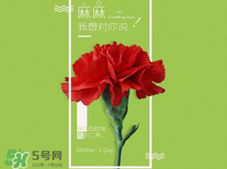 2017年母親節(jié)會(huì)打折嗎？2017年母親節(jié)有什么優(yōu)惠活動(dòng)？