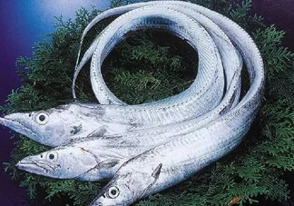 三文魚多少錢一斤2017？新鮮三文魚多少錢一條2017？