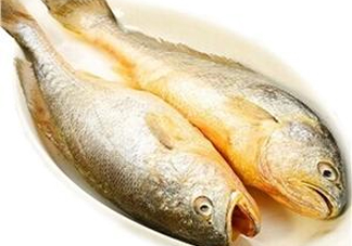 黃花魚(yú)多少錢(qián)一斤？野生黃花魚(yú)多少錢(qián)一斤