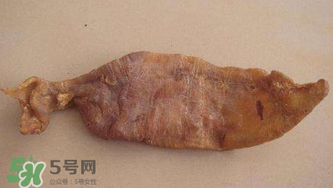 黃唇魚魚鰾是什么？魚鰾是魚的哪個(gè)部位