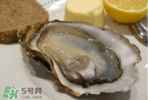 丹麥生蠔能吃嗎？生蠔的吃法大全集