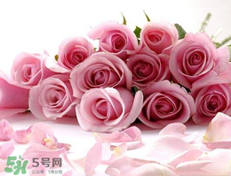 母親節(jié)送什么禮物給老婆？2017年母親節(jié)送老婆禮物推薦