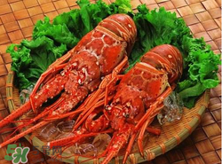 什么時候釣龍蝦最好？龍蝦幾月份能釣？