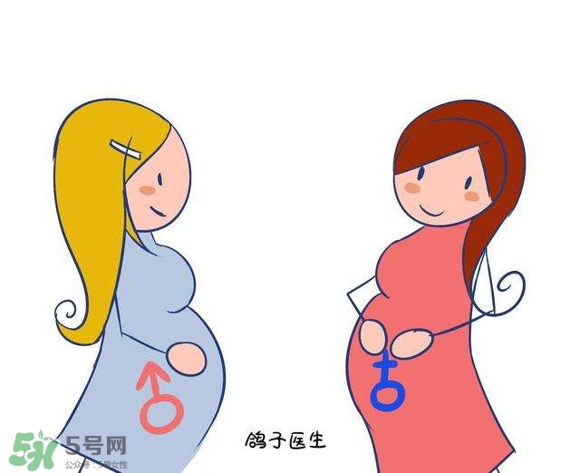 怎么問醫(yī)生胎兒性別？醫(yī)生會告訴胎兒性別嗎？