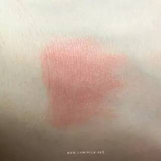 西柚色口紅有哪些？西柚色口紅推薦