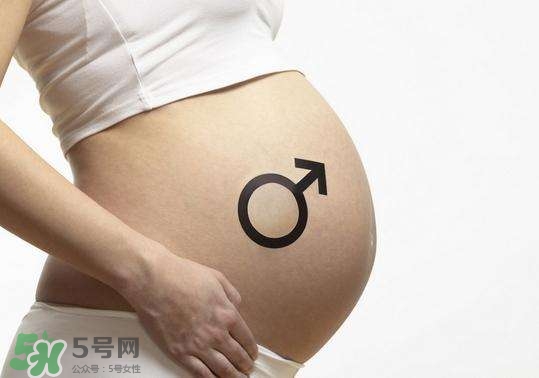 怎么問醫(yī)生胎兒性別？醫(yī)生會告訴胎兒性別嗎？