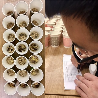 麥片什么牌子好？進口麥片哪個牌子好吃