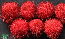 紅毛丹什么時(shí)候上市？紅毛丹什么季節(jié)有？