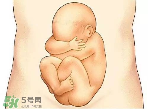 胎兒在媽媽肚子里都會干啥？胎兒的神奇世界