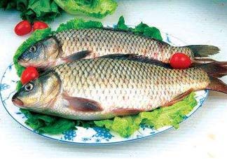 ?五月份吃什么魚？5月份吃什么魚？