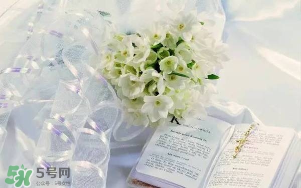 jill stuart湛藍祝福限定系列有哪些？jill stuart湛藍限定多少錢？