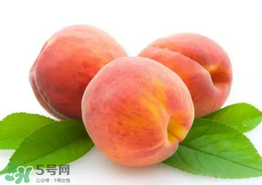 桃子為什么不能和西瓜一起吃？桃子和西瓜為什么不能一起吃？