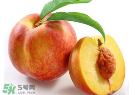 桃子可以放冰箱嗎？桃子能放冰箱保鮮嗎？