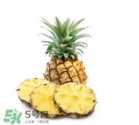 孕婦能吃菠蘿嗎？菠蘿孕婦能不能吃？