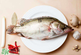 ?五月份吃什么魚？5月份吃什么魚？