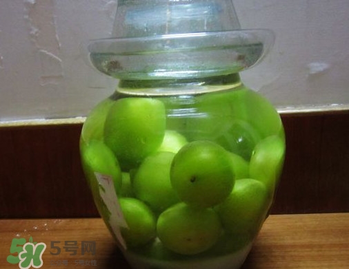 三華李可以泡酒嗎？三華李可以多吃嗎？
