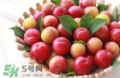 月經(jīng)期可以吃三華李嗎？月經(jīng)期能吃三華李嗎