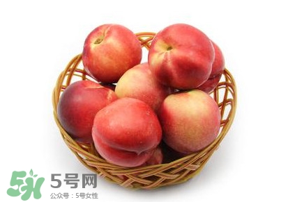 三華李可以泡酒嗎？三華李可以多吃嗎？
