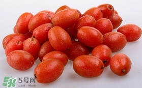 羊奶果可以連皮吃嗎？羊奶果的皮可以吃嗎