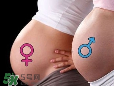 B超單數(shù)據(jù)怎么看男女？B超單看男女準(zhǔn)嗎？