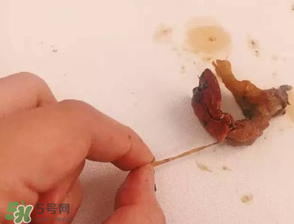 周黑鴨小龍蝦好吃嗎？周黑鴨小龍蝦試吃評(píng)測(cè)