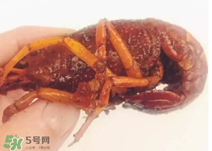 周黑鴨小龍蝦好吃嗎？周黑鴨小龍蝦試吃評(píng)測(cè)